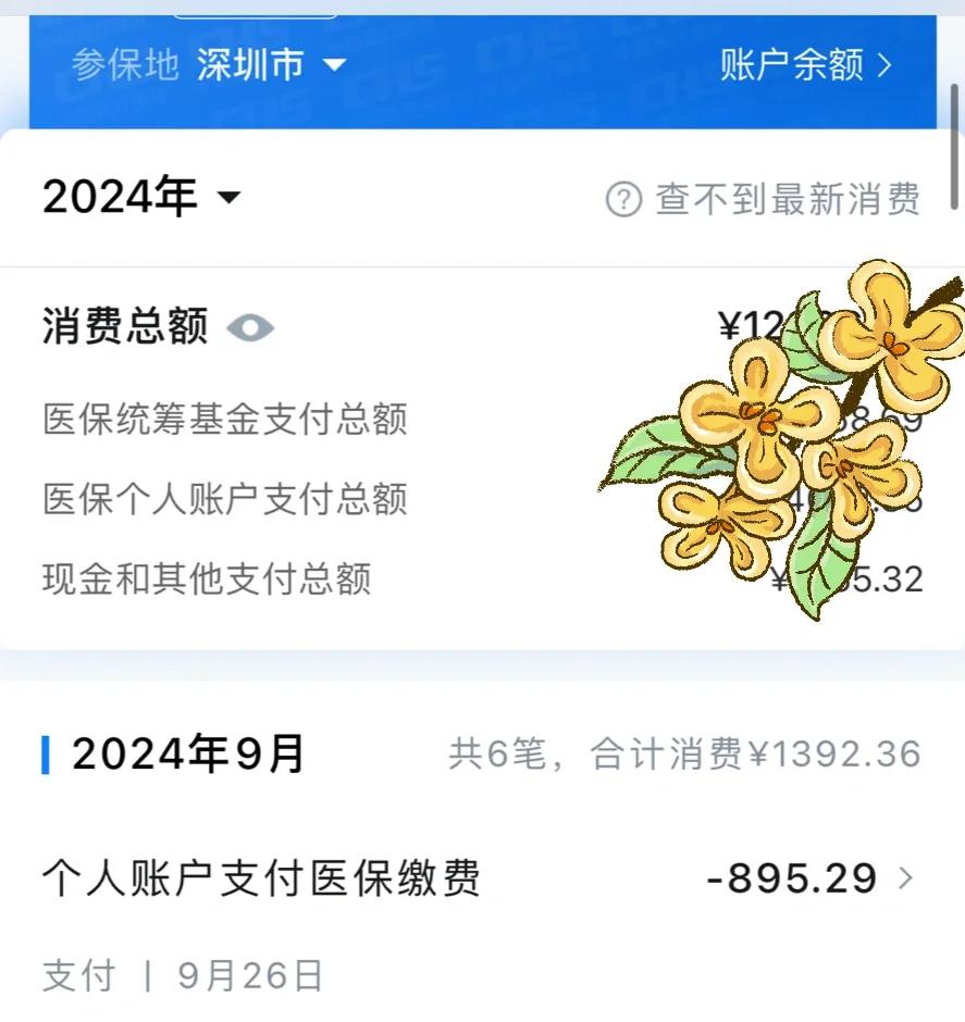 昆明最新深圳医保个账清退方法分析(最方便真实的昆明深圳医保个账清退为啥另外账号没钱方法)