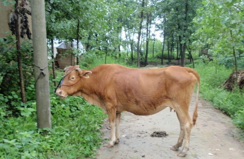 昆明最新求一个套医保卡的黄牛是真的吗方法分析(最方便真实的昆明求一个套医保卡的黄牛是真的吗还是假的方法)